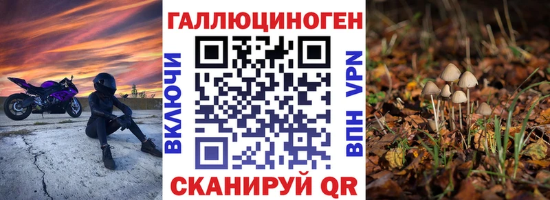 Галлюциногенные грибы Psilocybine cubensis  купить  цена  Тетюши 